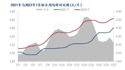 多重利好支撐，蛋市“蒸蒸日上”？-上海邦森