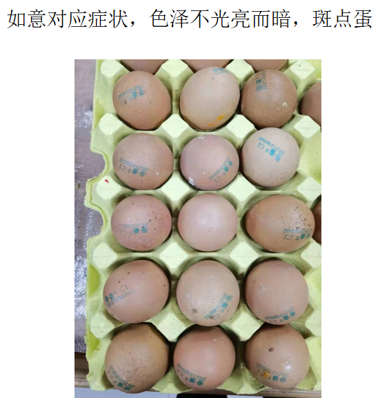 如意3 如意3