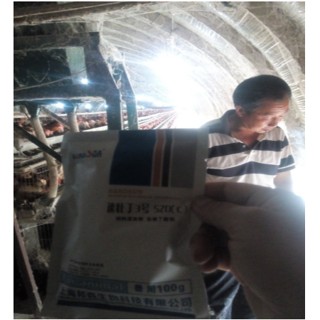 上海邦森速壯丁在蛋禽上的應用，看看淮北客戶怎么評價