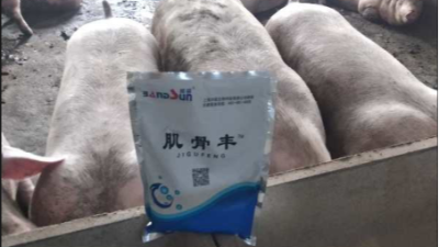 上海邦森肌骨豐豬場提高效益的有效方法，獲得客戶的認可