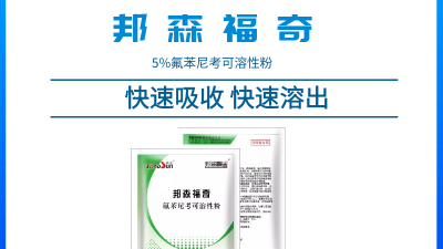 上海邦森獸藥知識--怎樣用氟苯尼考才能把它的臨床治療價值最大化？